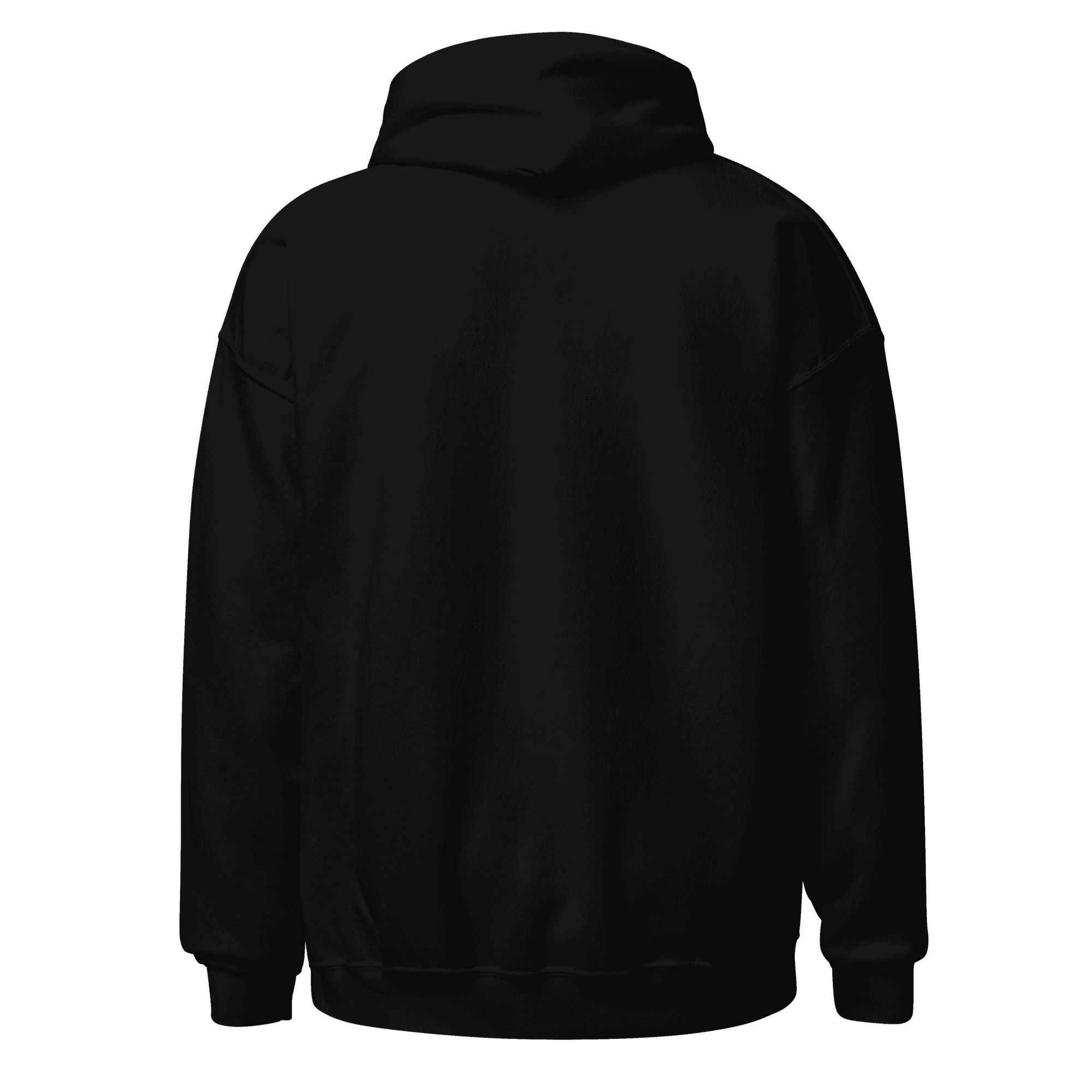 unisex-heavy-blend-hoodie-black-back-69ef581a76ba2.png