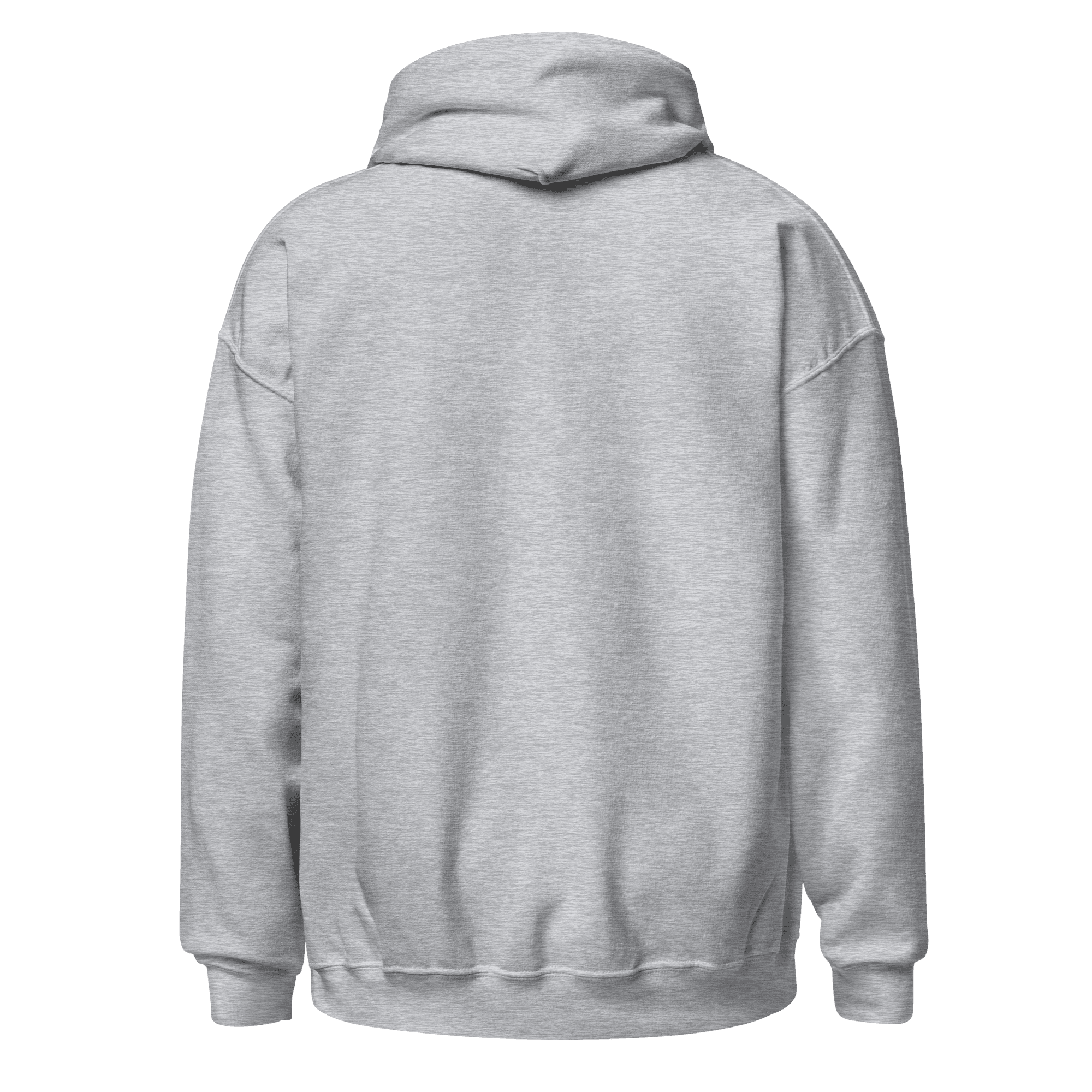 unisex-heavy-blend-hoodie-sport-grey-back-69ef581a76e5f.png