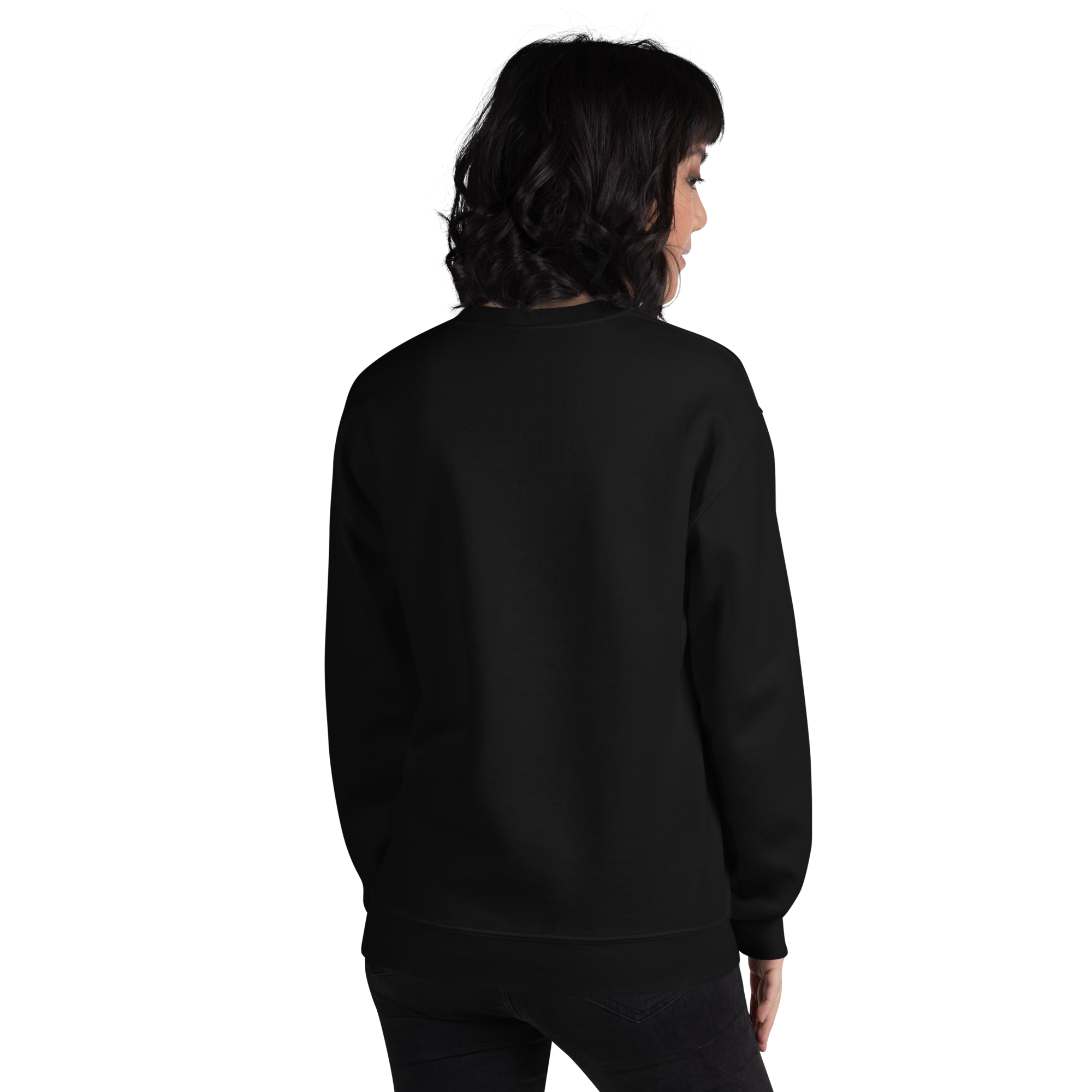 unisex-crew-neck-sweatshirt-black-back-6a0418bd7437f.png