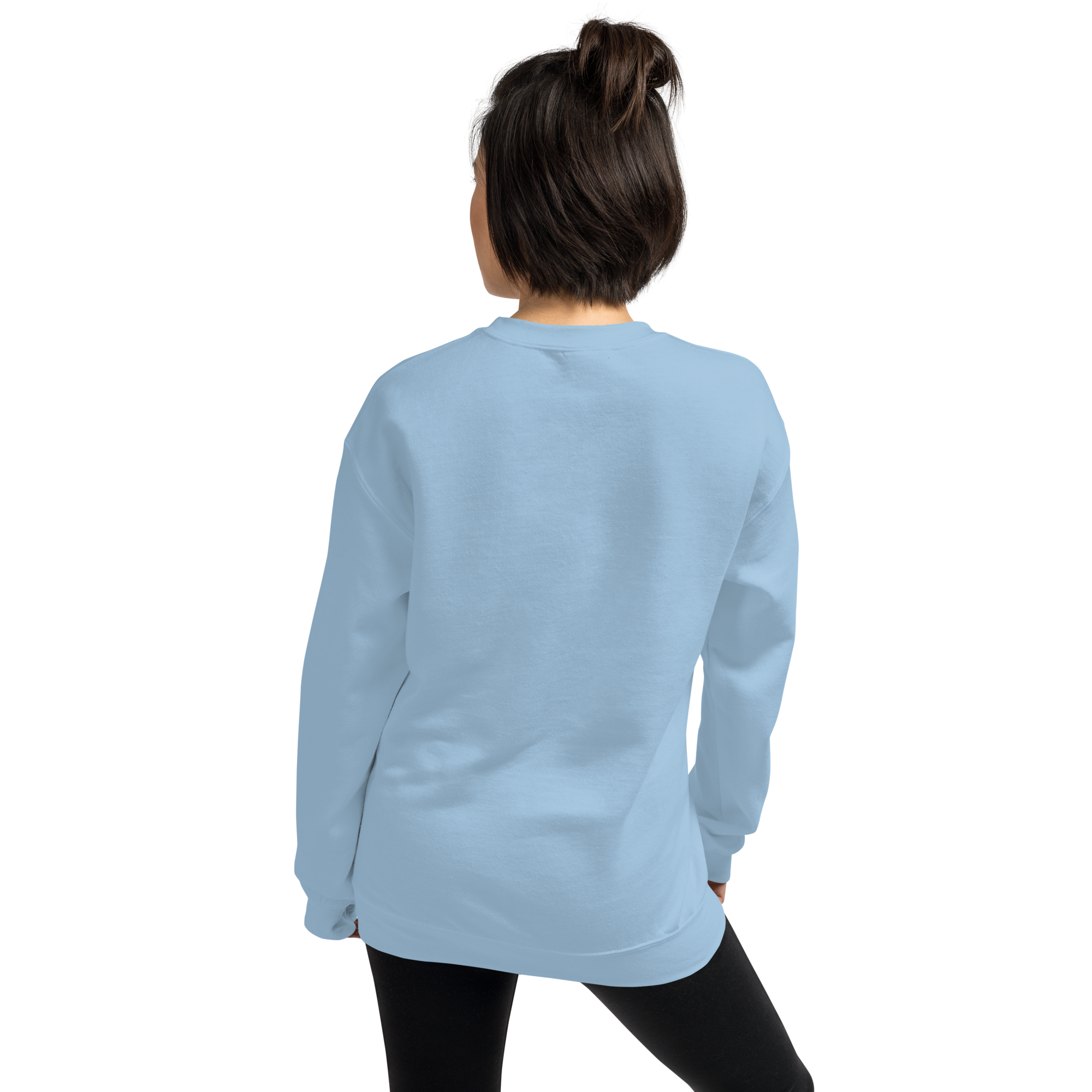 unisex-crew-neck-sweatshirt-light-blue-back-6a0547b9e24c2.png