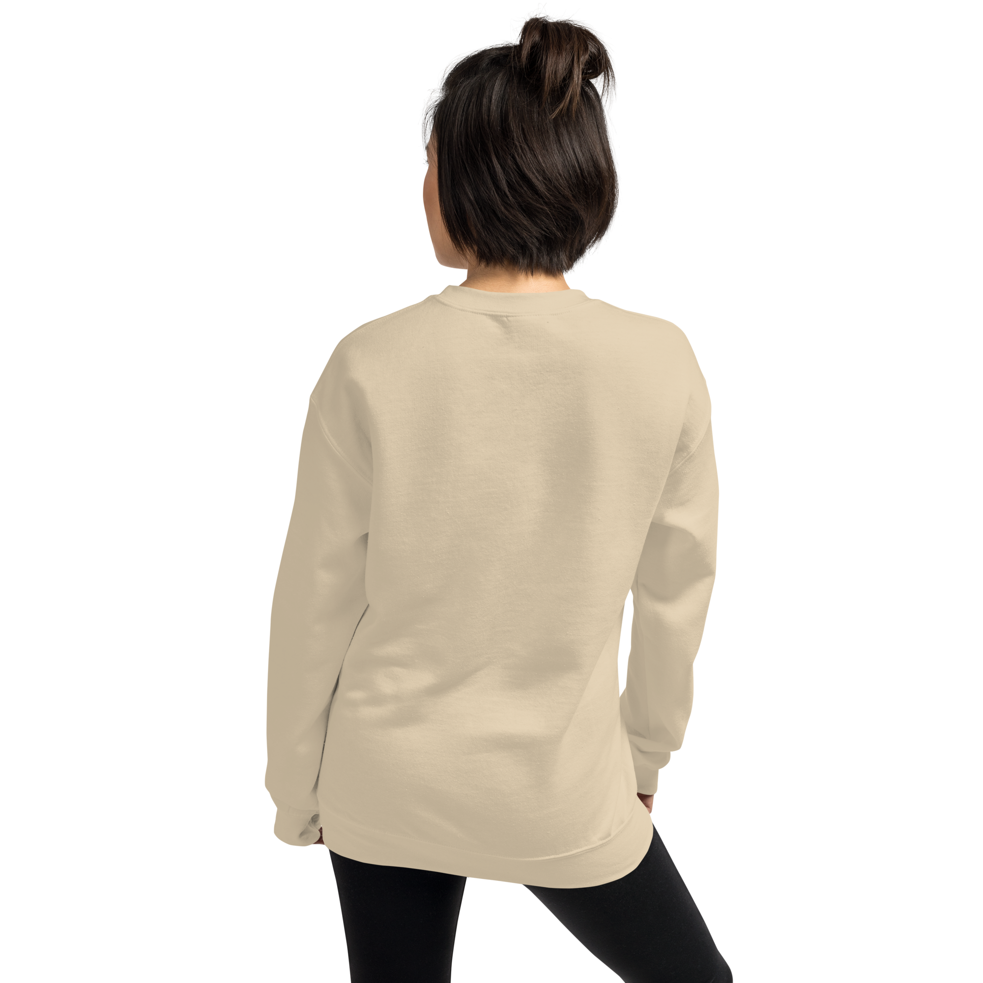 unisex-crew-neck-sweatshirt-sand-back-6a094e74cc457.png