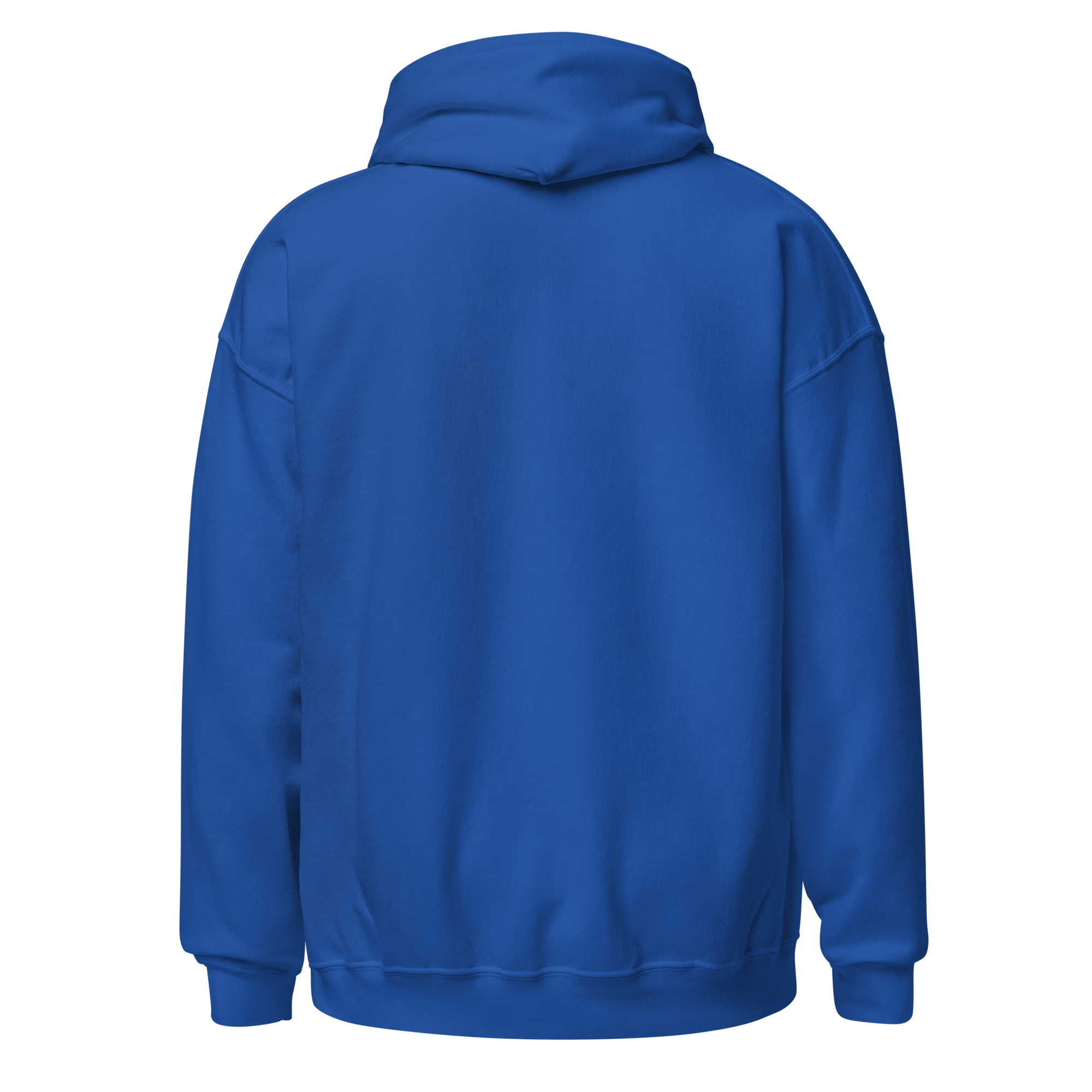 unisex-heavy-blend-hoodie-royal-back-6a00953d4a018.png