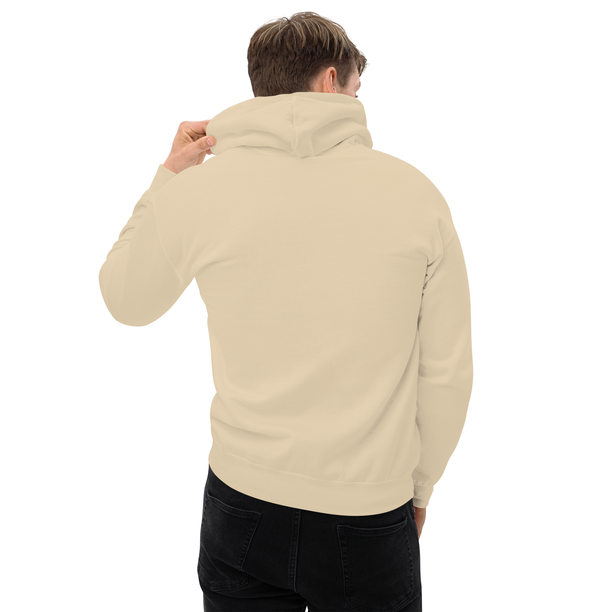 unisex-heavy-blend-hoodie-sand-back-6a040ede4994f.png