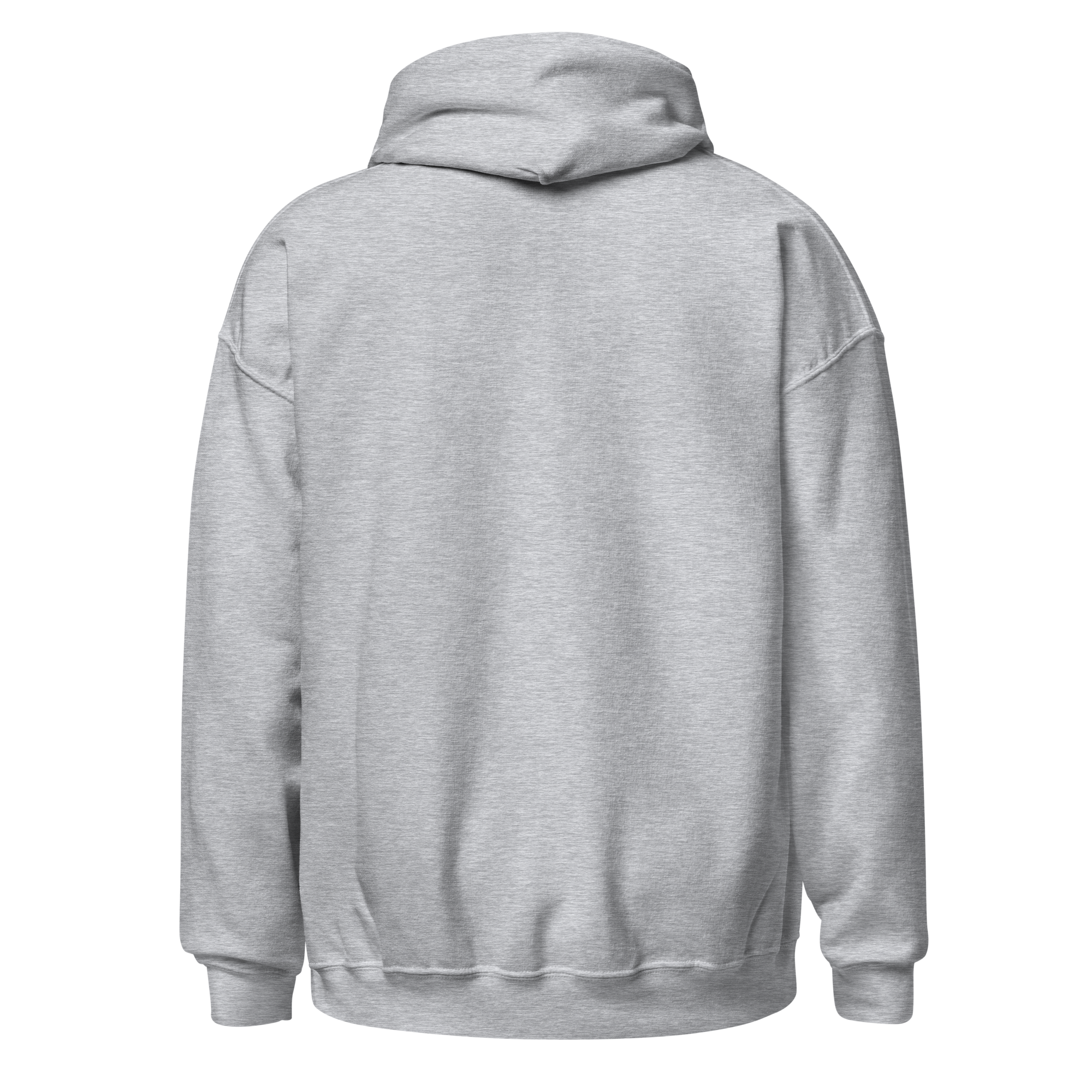 unisex-heavy-blend-hoodie-sport-grey-back-6a00953d4a0a8.png
