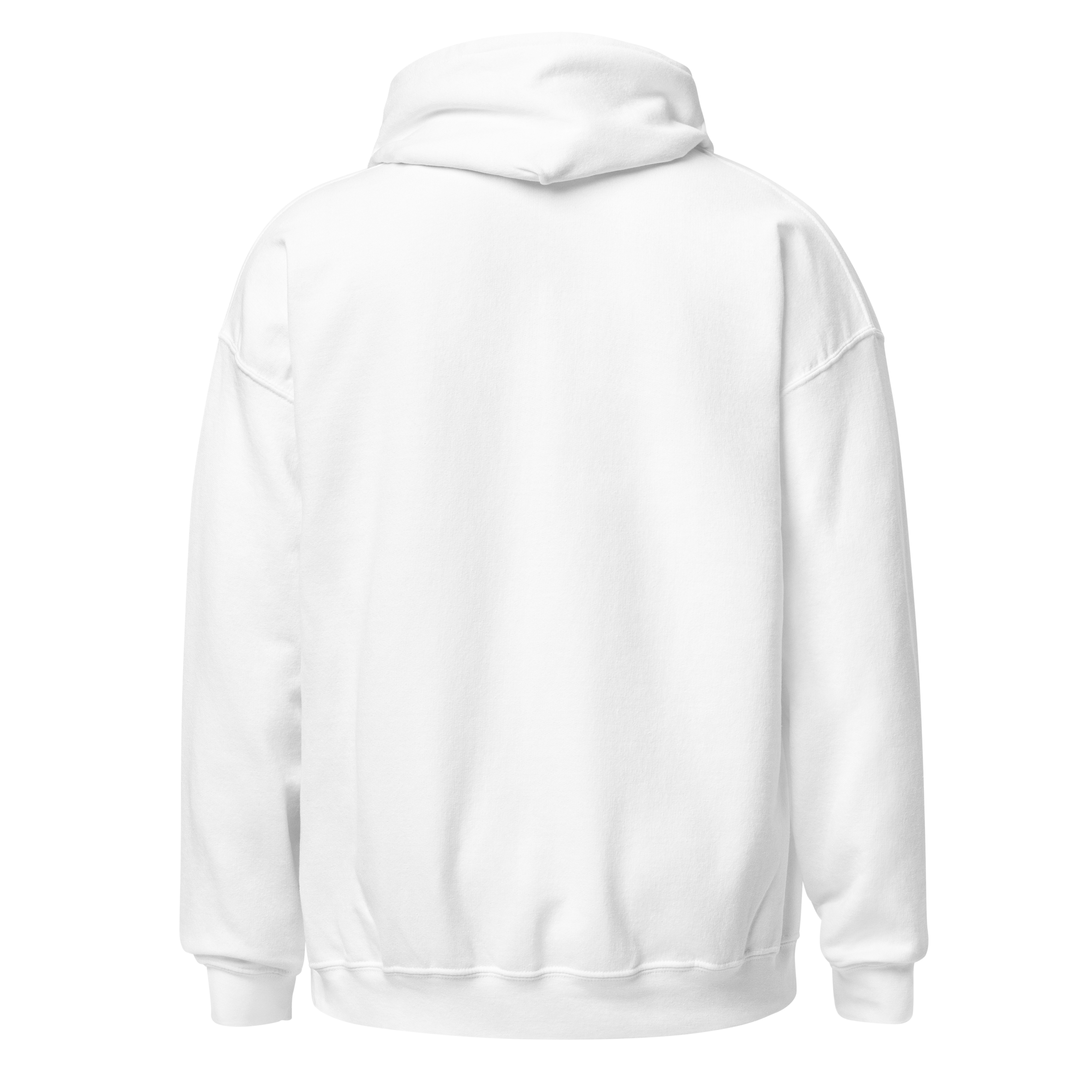 unisex-heavy-blend-hoodie-white-back-6a00953d4a136.png